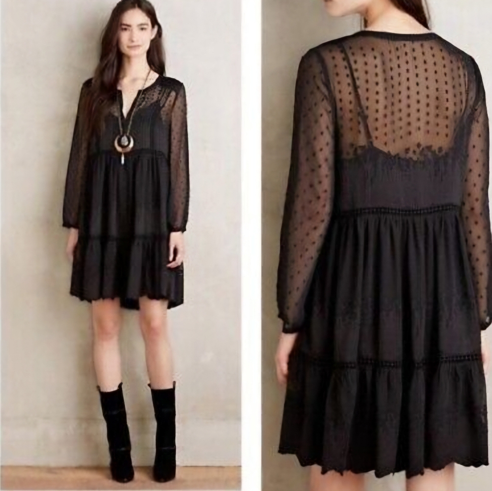 Anthropologie Vanessa Virginia Costa Maya Sheer Boho Swing Dress sz 4 loose fit